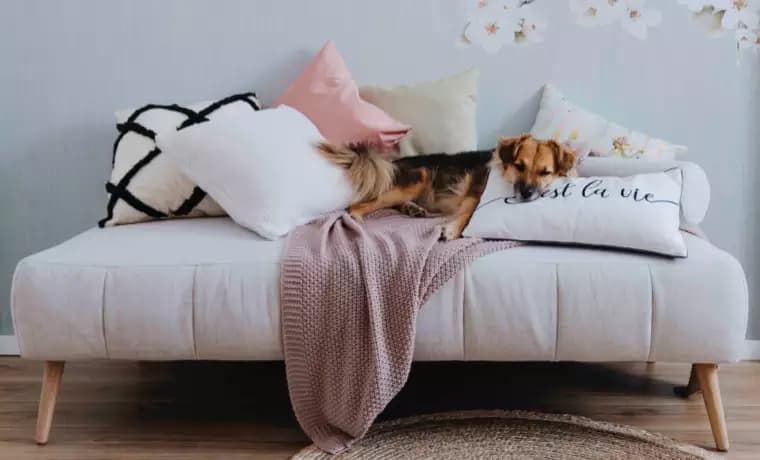 Mit Sofakissen dekorieren