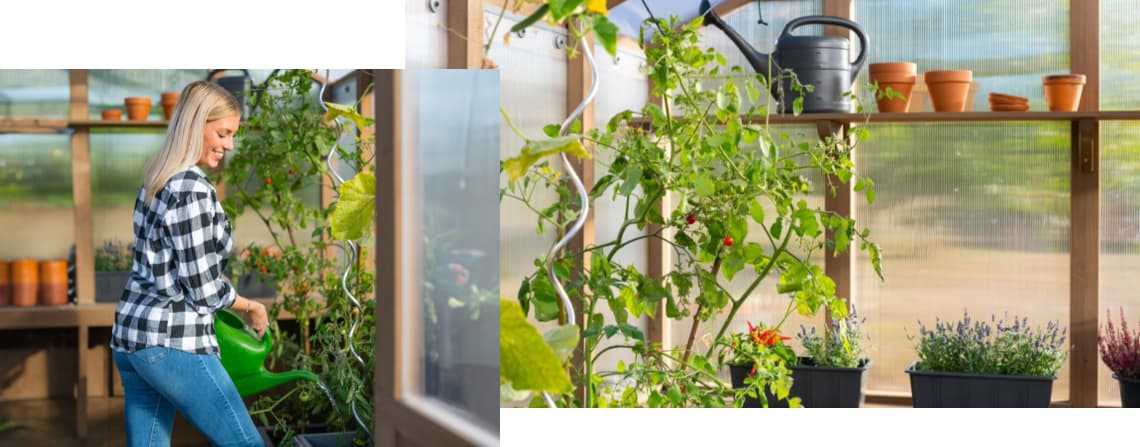 Gewächshaus richtig bepflanzen