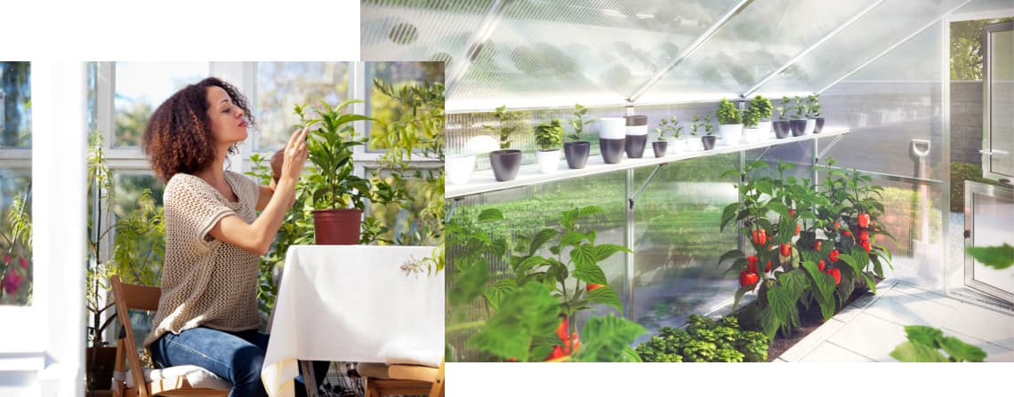 Gewächshaus einrichten