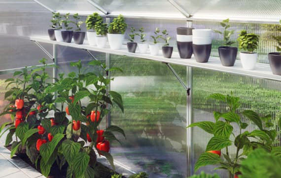 Gewächshäuser Zubehör