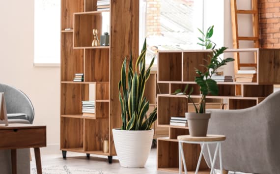 Bücherregale für Ordnung im Gartenhaus