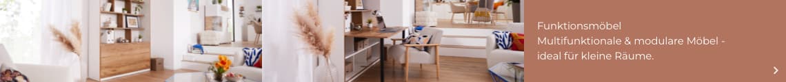Funktionsmöbel sind platzsparend und  machen kleine Räume vielseitig -  so wird dein Regal zum Homeoffice.