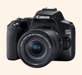 Spiegelreflexkameras