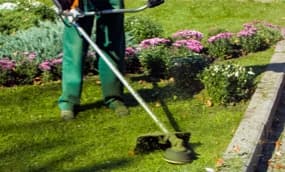 Rasentrimmer Ratgeber