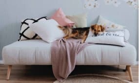 Ein gemütliches Sofa mit einer Vielzahl von Kissen in sanften Farben und Mustern. Auf dem Sofa liegt eine weiche Decke. Der Hintergrund ist in hellen Tönen gehalten, was eine einladende und entspannte Atmosphäre schafft.