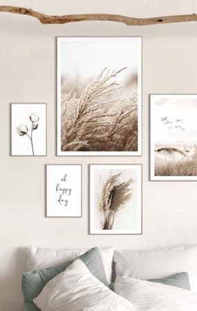Bilder