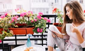 Frühlings-Blumenkästen