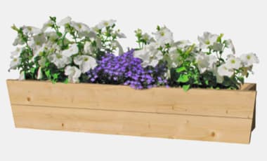 Blumenkästen