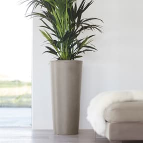 Blumentöpfe & Blumenkästen aus Kunststoff