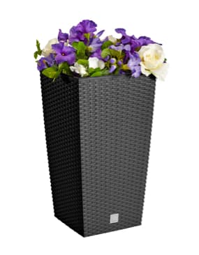 Blumentöpfe & Blumenkästen