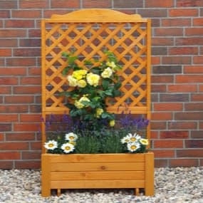 Rosenbögen & Spaliere