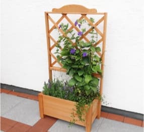 Pflanzkasten mit Rankgitter