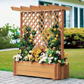 Pflanzkasten mit Rankgitter