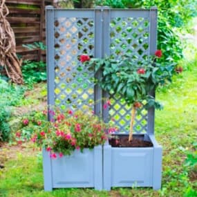 Pflanzkasten mit Rankgitter