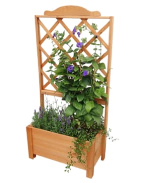 Pflanzkasten mit Rankgitter