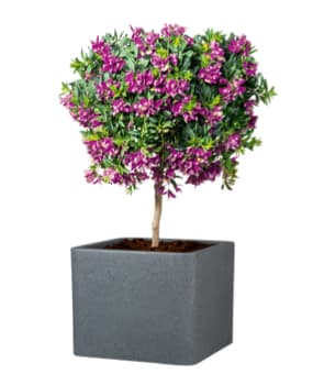 Blumentöpfe & Blumenkästen