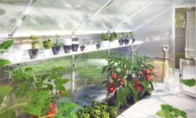 Gewächshaus einrichten