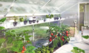 Gewächshaus einrichten