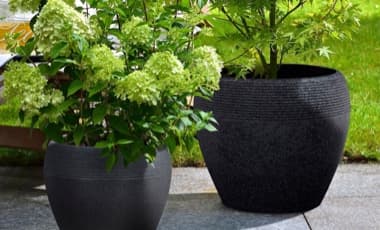Blumenkasten Pflanzideen