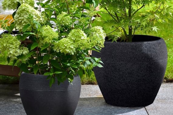 Blumenkasten Pflanzideen