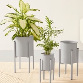 Blumentöpfe & Blumenkästen