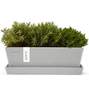 Blumentöpfe & Blumenkästen