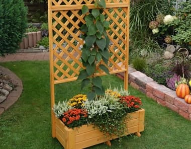 Pflanzkasten mit Rankgitter