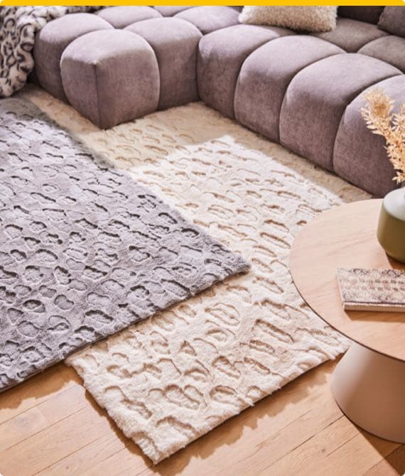 Wohnzimmer mit grauem Sofa, grauem Teppich und beigem Teppich. Tisch mit Deko und Buch, Holzboden.
