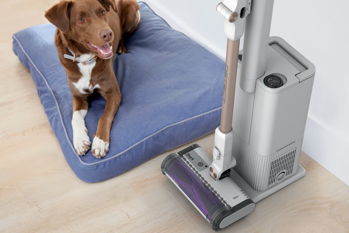 Hund liegt auf blauem Kissen neben einem Staubsauger auf hellem Holzboden.