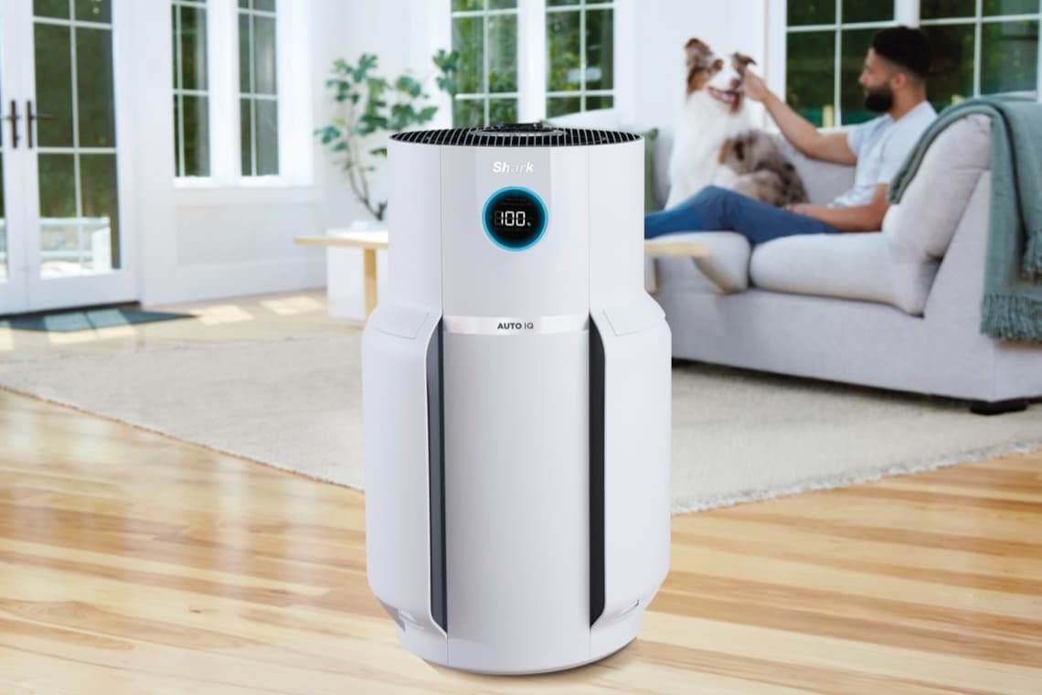 Luftreiniger in modernem Wohnzimmer. Person sitzt auf Sofa und spielt mit Hund.