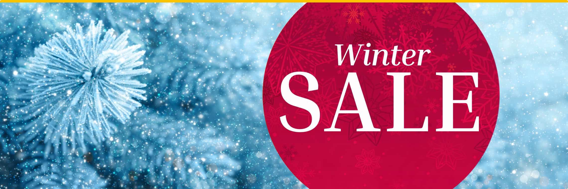 Winter SALE – Nahaufnahme von schneebedeckten Tannenzweigen mit einem roten Kreis und weißer Schrift.