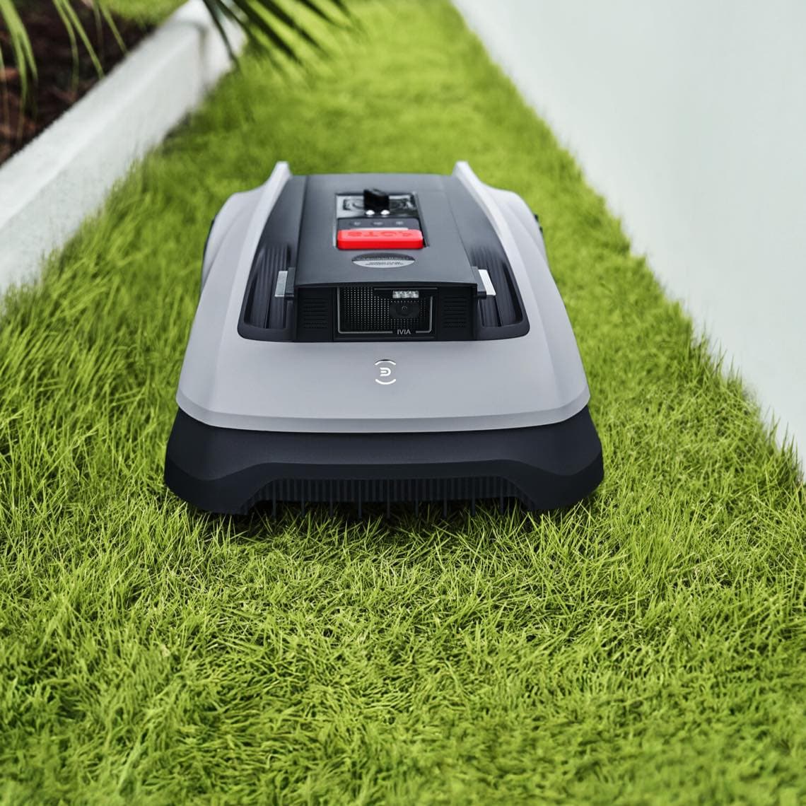 Rasenmähroboter fährt auf schmalem, frisch gemähtem Rasenstreifen entlang einer weißen Gartenmauer