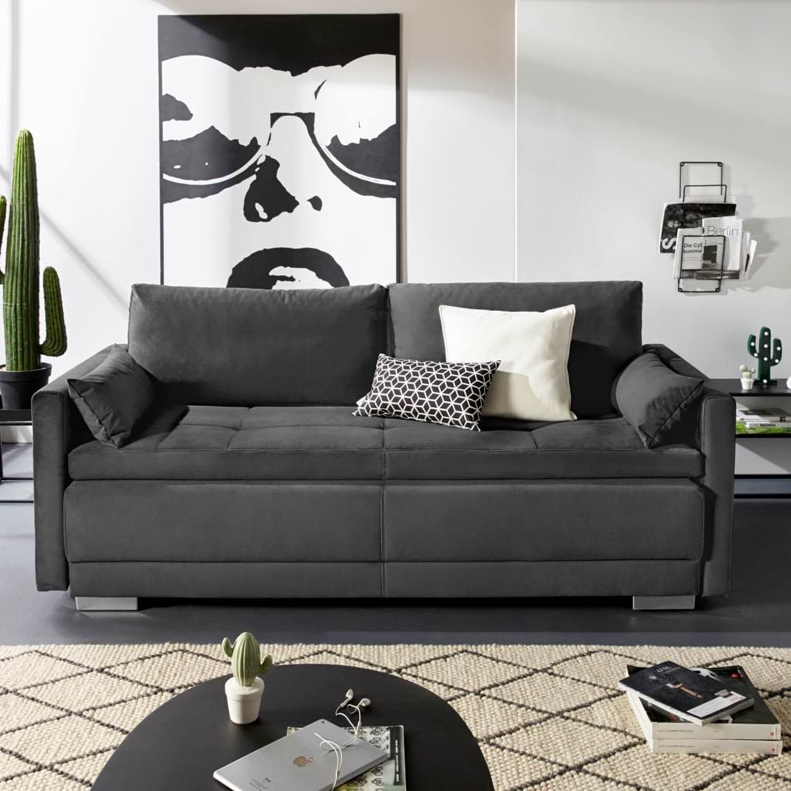 Dunkles Sofa mit zwei Kissen vor großem Schwarz-Weiß-Gesichtsposter, Cacti und Couchtisch mit Laptop und Büchern