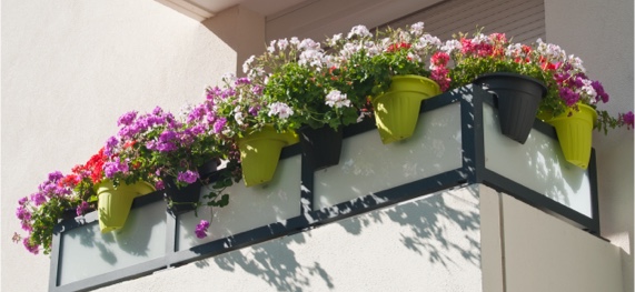 Blumenkasten am Balkon befestigen ▷ Tipps