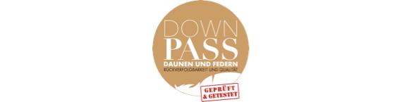 DOWNPASS 