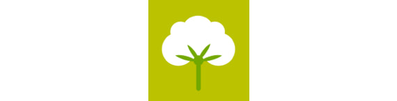 Bio-Baumwolle