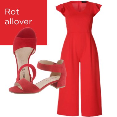 Rot allover
