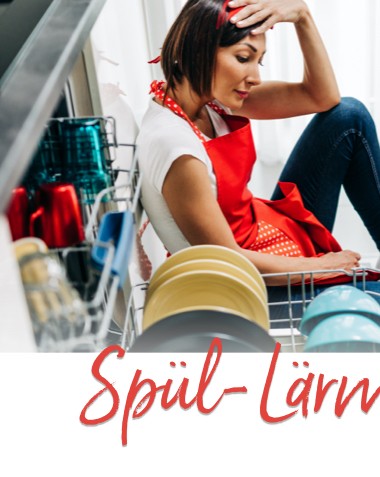 Spülmaschine brummt