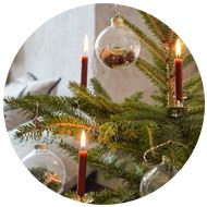 Weihnachtsbäume & Zubehör