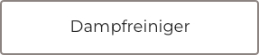 Dampfreiniger
