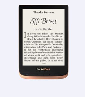 eBook-Reader E-Ink & Farbdisplay So funktioniert's | BAUR