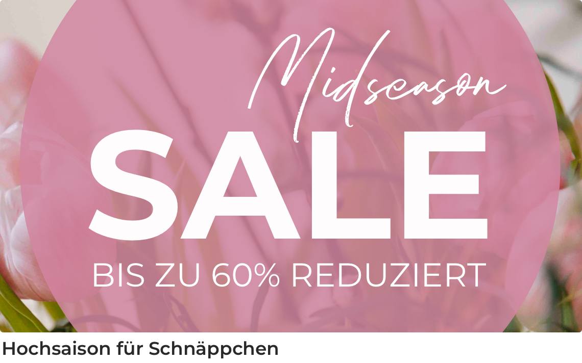 Aniston Warm up Sale: