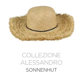 Sonnenhut