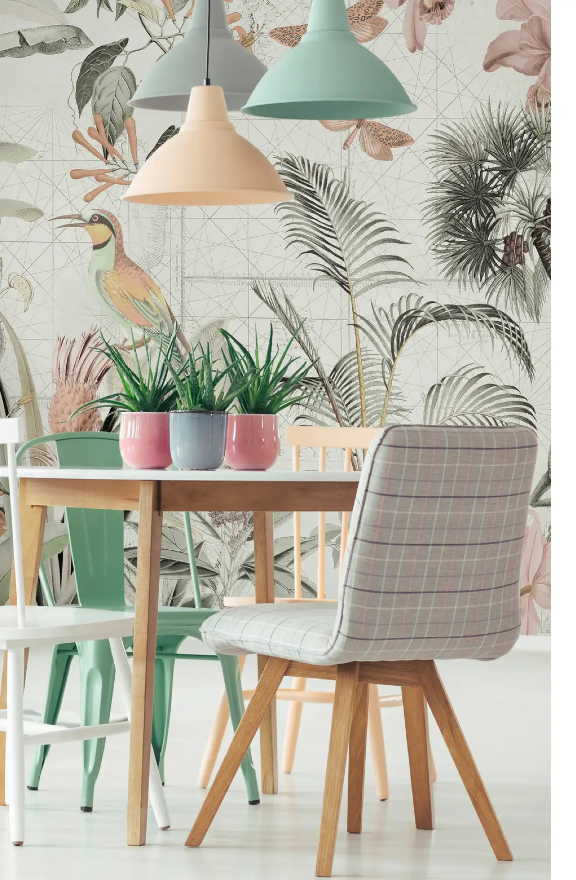 Trend Tropical
