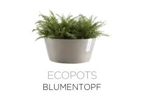Blumentopf